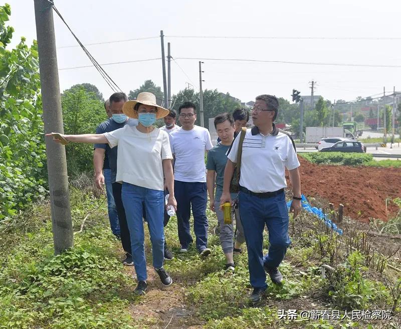 湖北蕲春大雨最新情况更新