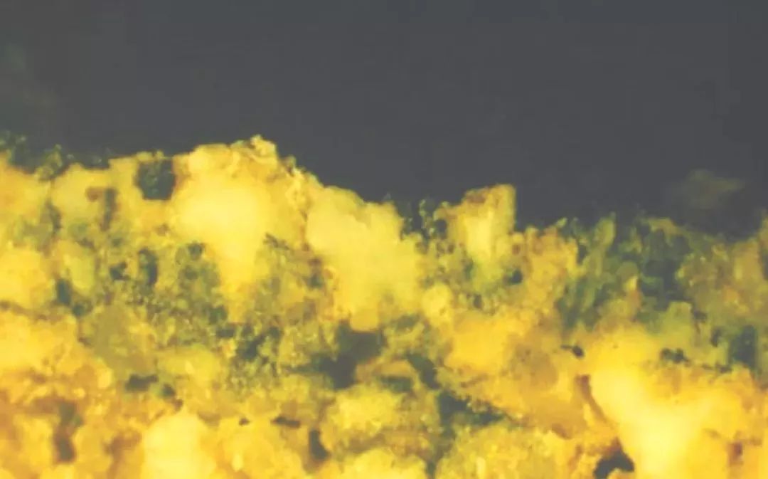 最新耀光使，与自然美景的邂逅，内心平和之旅