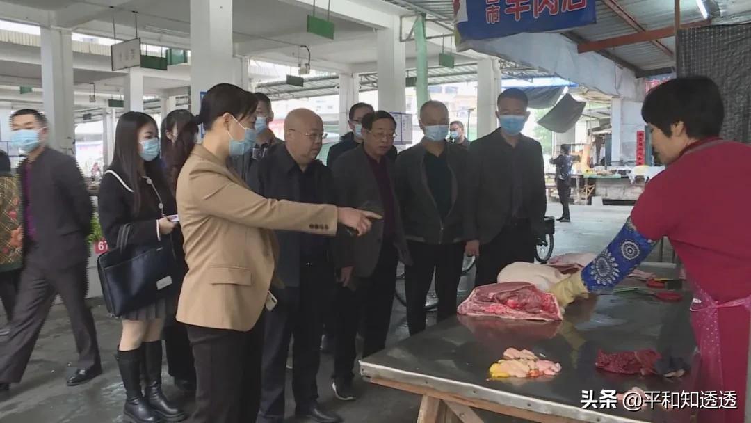 文明创城最新进展，探寻自然美景之旅，重拾内心平和的旅程
