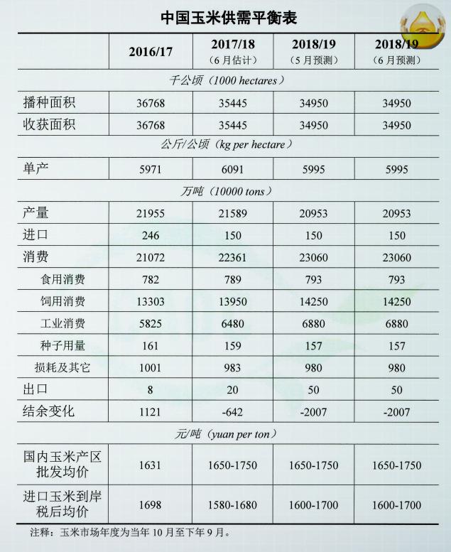 最新玉米价格专家分析步骤指南及趋势预测