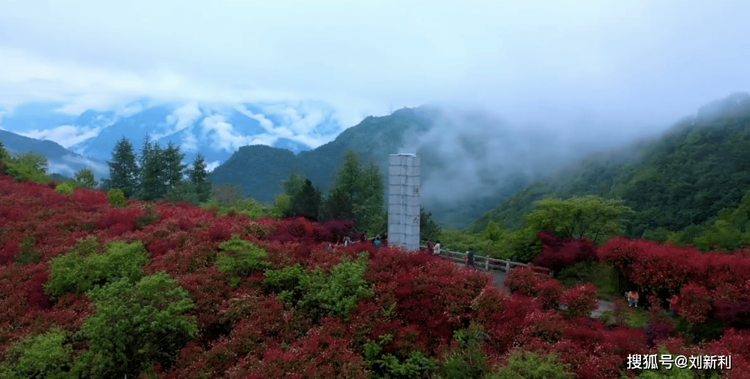 四木集团最新动态，自然美景探索之旅，心灵远离尘嚣的启程