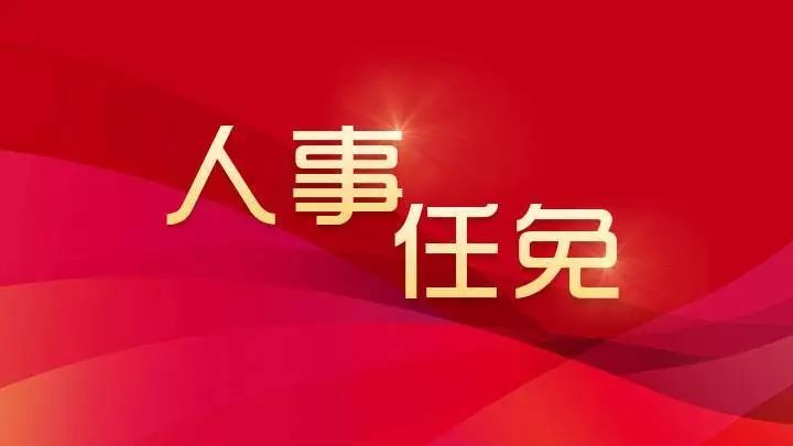 峨山县县委最新任免，温馨小故事开启新篇章