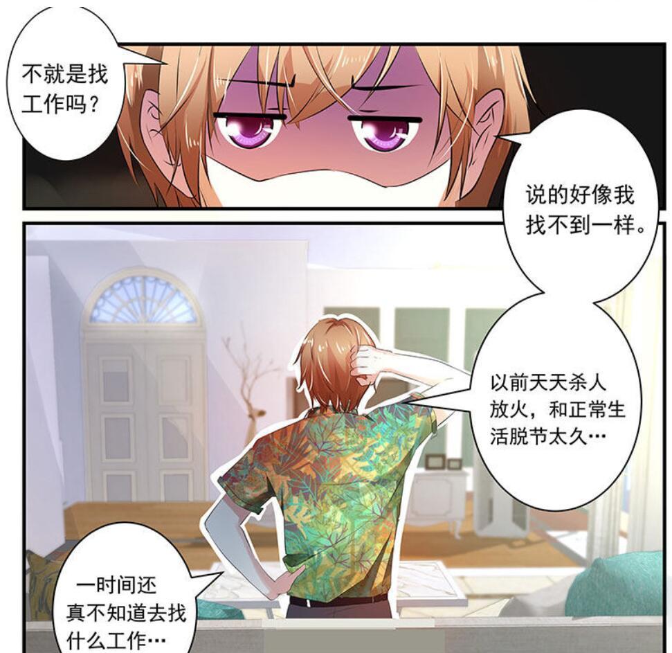 深度解析与观点阐述，我的绝色总裁沈浪最新动态