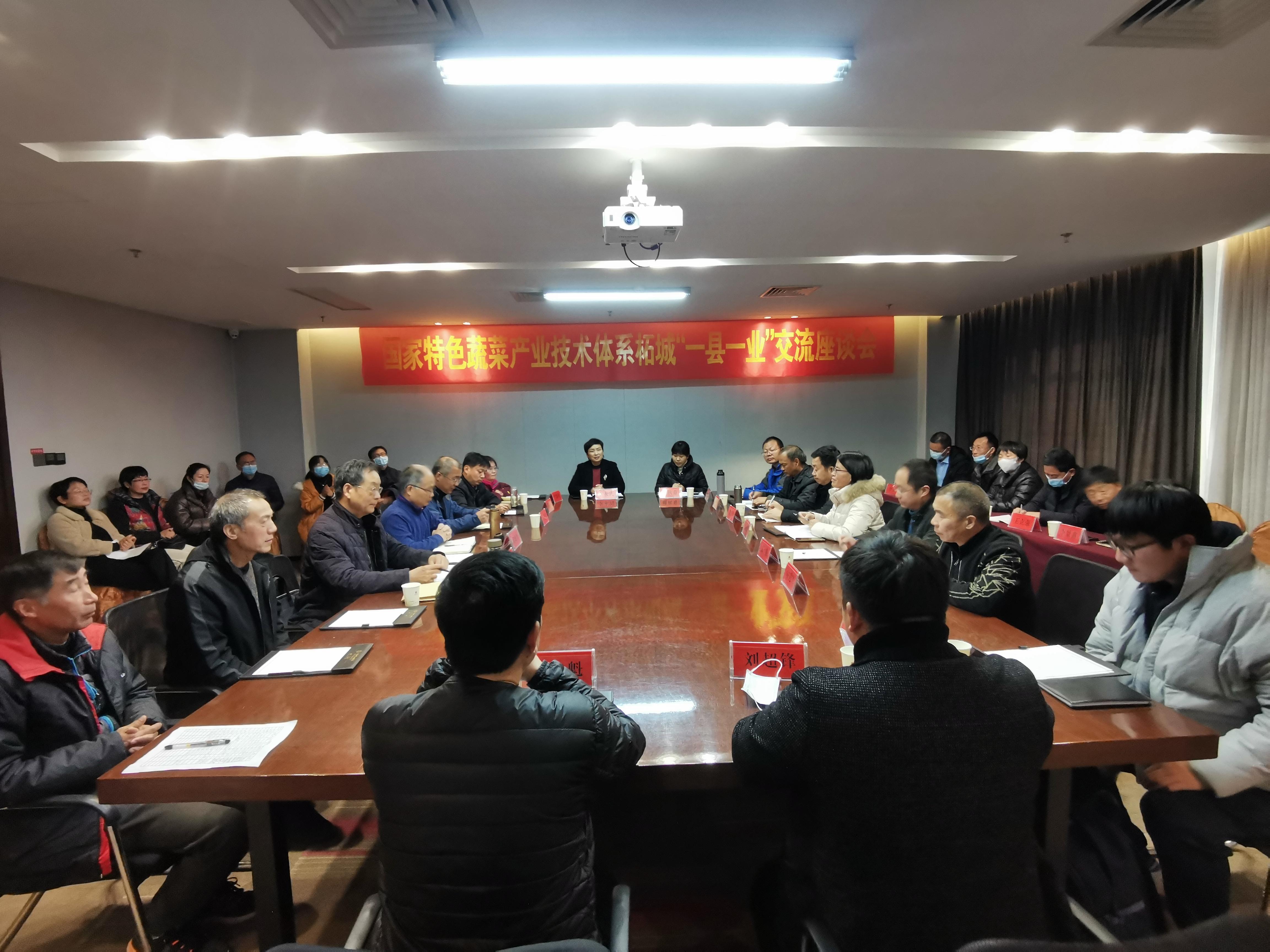 河南柘城辣椒市场价格行情深度解析与趋势预测🌶️