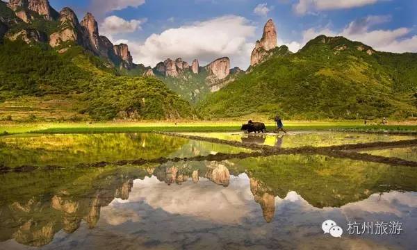 星脉国内上市时间揭晓，启程自然美景探索之旅！