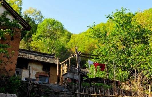 新密凯旋山最新资讯揭秘，小巷深处的独特风味探索——特色小店报道