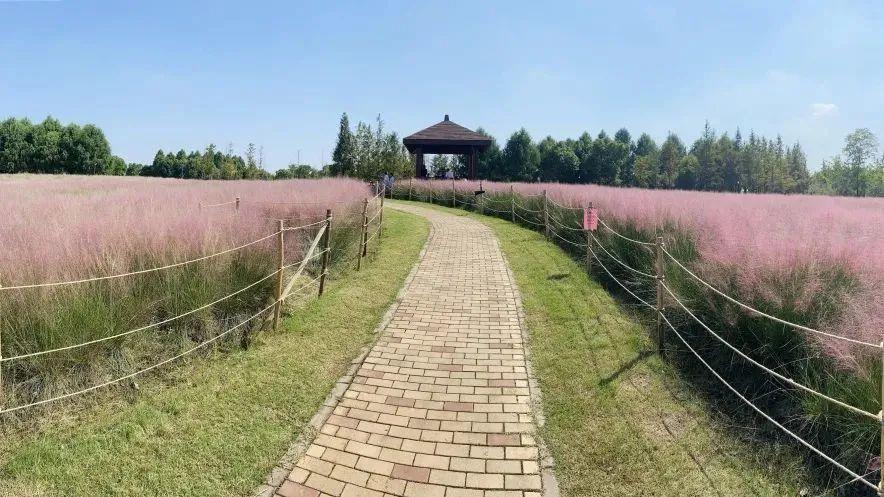 免费电影2，自然美景探索之旅的视听盛宴