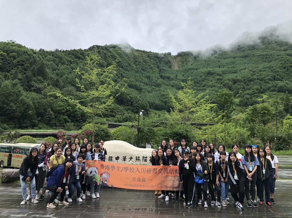 最新流量活动开启学习之旅，拥抱变化展现自信风采