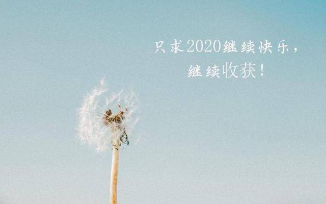 阳光下的温馨日常——我的最新心情说说