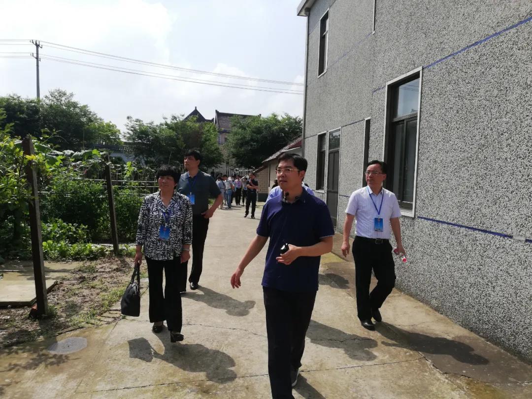 最新五治深度解析与观点阐述