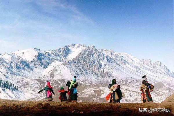 小狼最新剧，自然之旅的心灵寻觅——寻找内心的宁静与平和