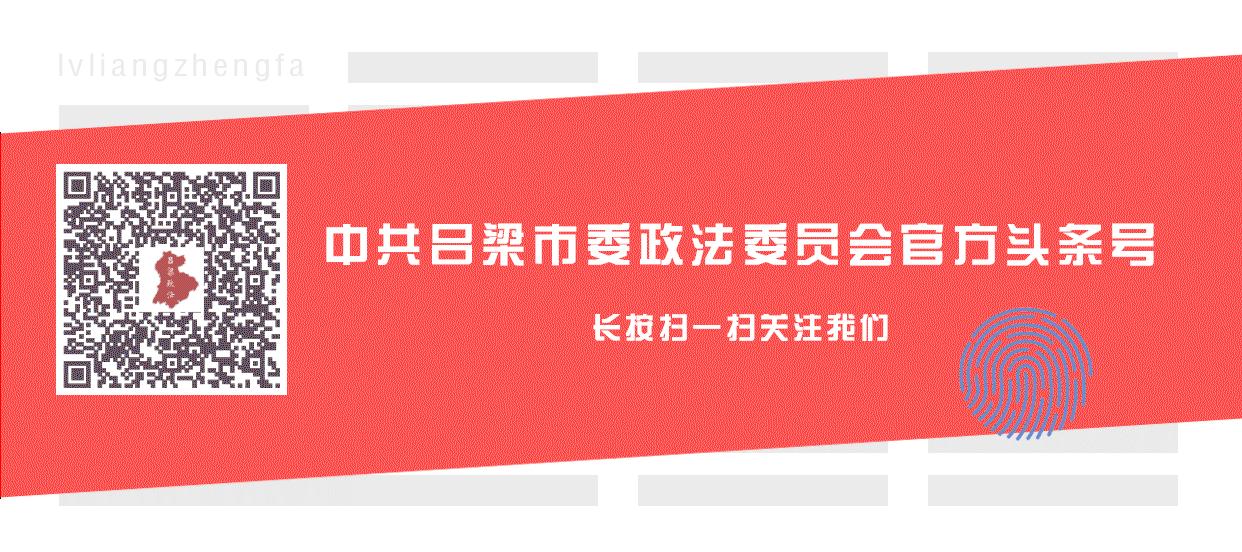 临县最新动态概览