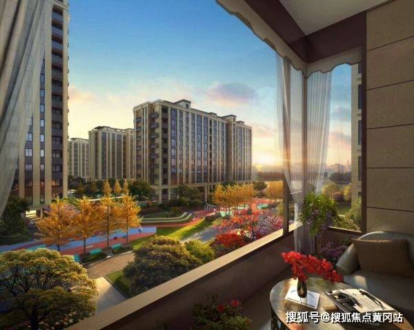 珊妮最新观点阐述与深度解析