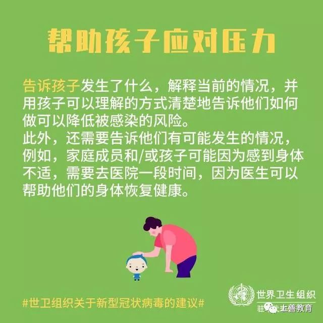 全球最新疫情动态，各国状况与应对步骤指南