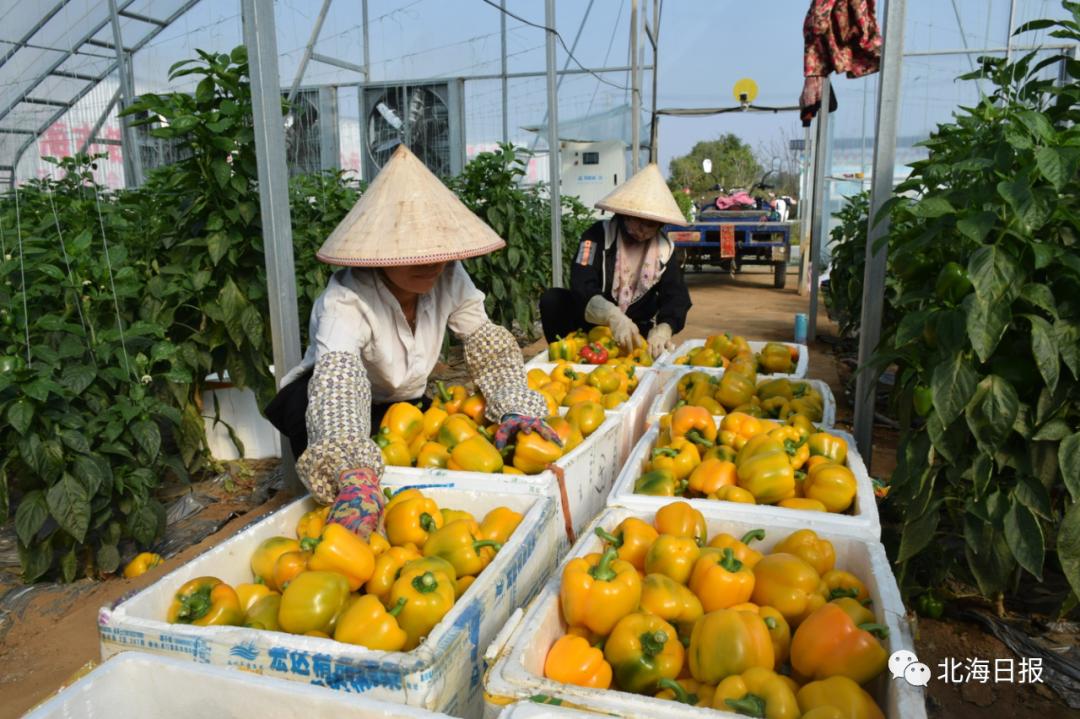 营盘镇最新高科技产品展示与介绍