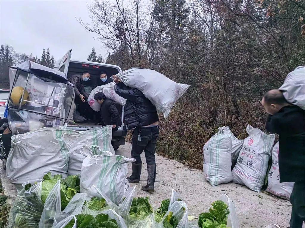 梁平疫情最新动态与探索自然美景之旅