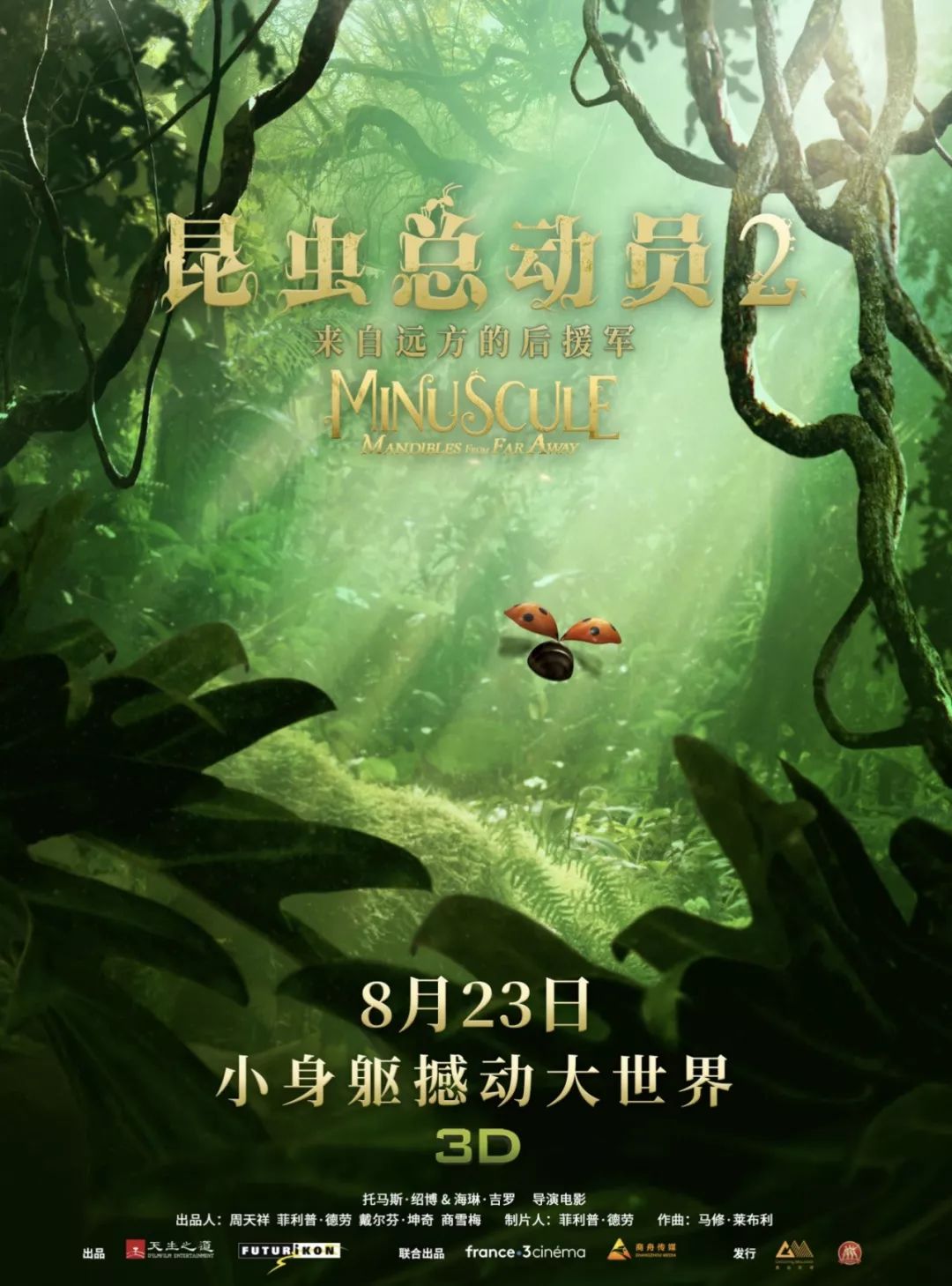 影迷联盟最新活动，探索自然美景之旅，寻找内心平和之地
