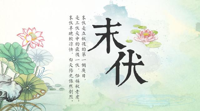 秋夏最新，温馨有趣的日常故事