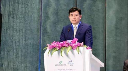 时代的进步与教育的变革，最新录取查询信息速递