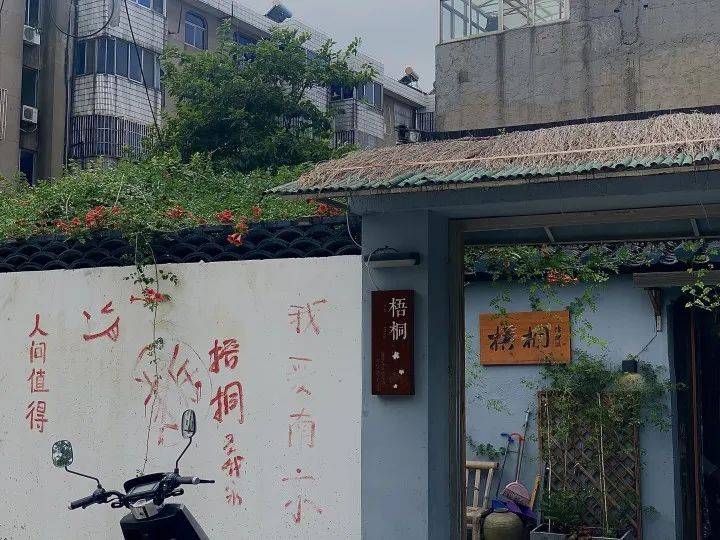 鹿城巷弄深处的独特风味，神秘小店的探索之旅