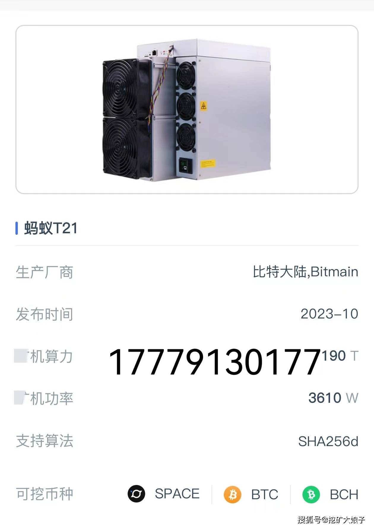 最新蚂蚁BT技术解析与应用探讨