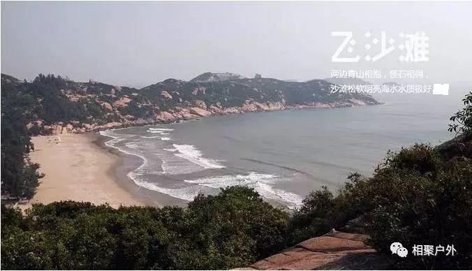 网鱼新篇，友情与陪伴的温馨趣事一网打尽