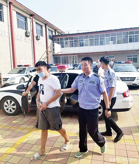 泊头最新案子,泊头最新案子详解