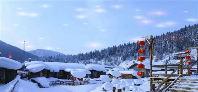 深度解析，最新雪乡的背景、事件与地位