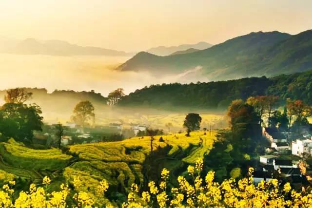 婺源最新风景，自然之旅，寻找内心平静之路