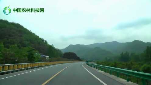 科技引领智能驾驭，最新秦岭路况实时更新