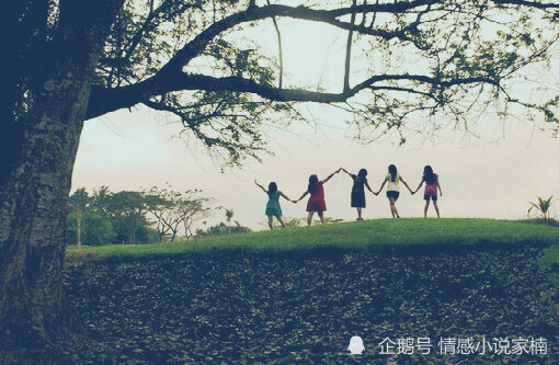 最新资源报告，温馨资源之旅与友情之花盛开盛况