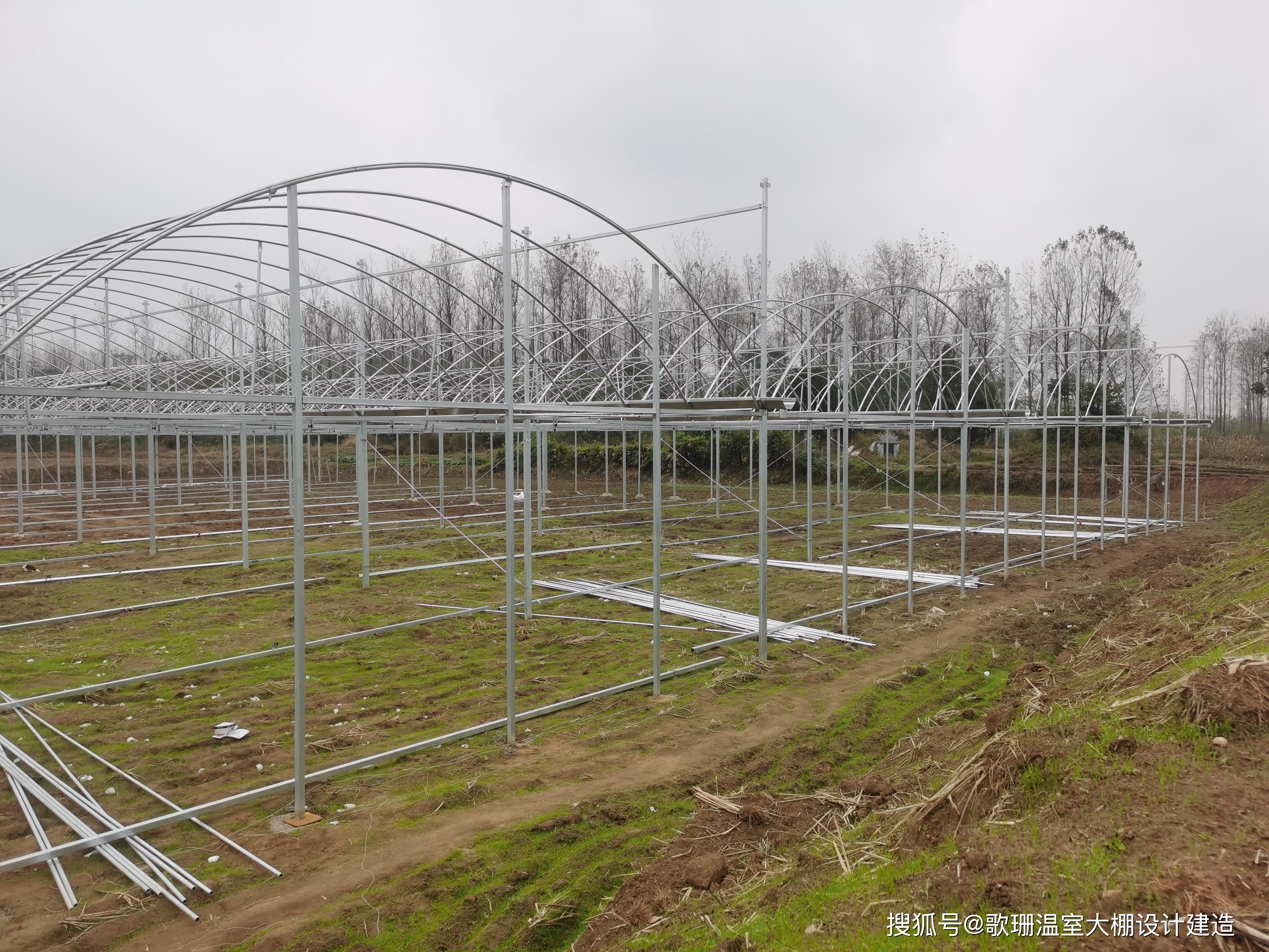 大棚最新架子，绿意友情与家的温馨融合