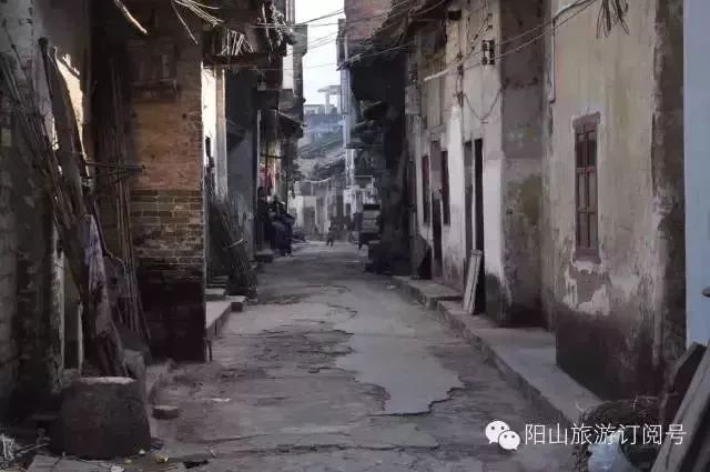 新泰疫情最新动态，小巷深处的风情与美食宝藏揭秘