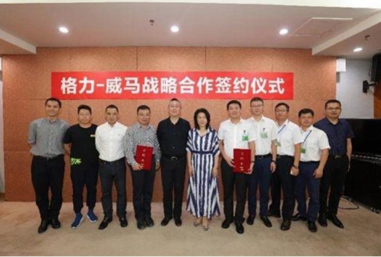 科技与生活的无缝融合，最新形手机的革新与发展