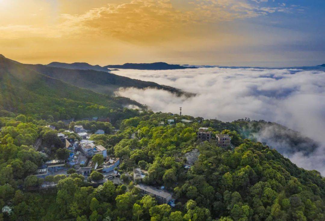 江门最新资讯，探索自然美景之旅，寻找内心平和的旅程