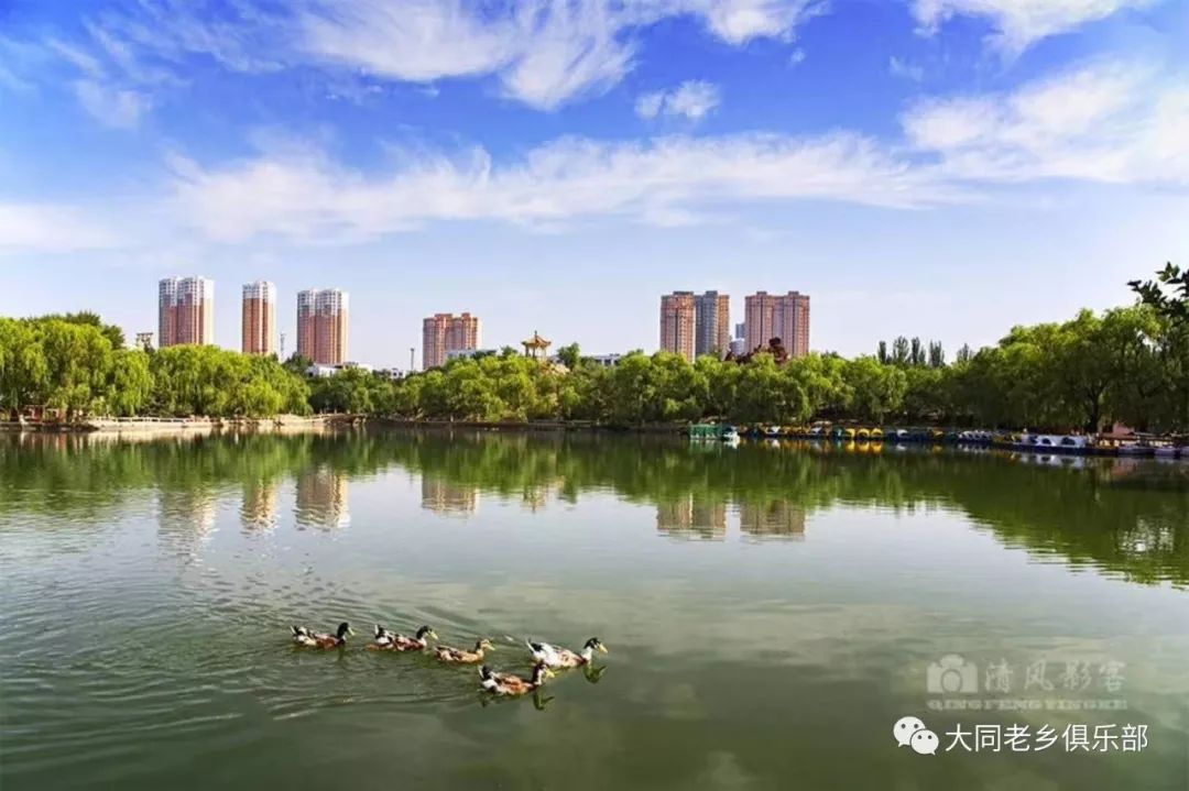 同大最新，自然美景之旅，探寻内心平和之地