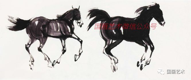 最新马资料科普文章概览