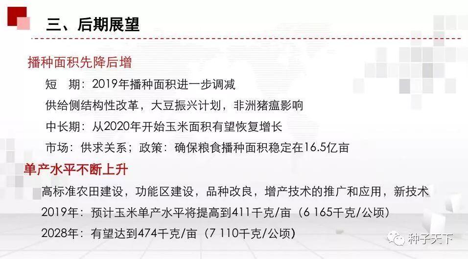 玉米最新政策解读，观点阐述与分析
