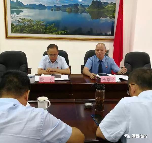 靖西最新案件深度解析，一种观点的视角