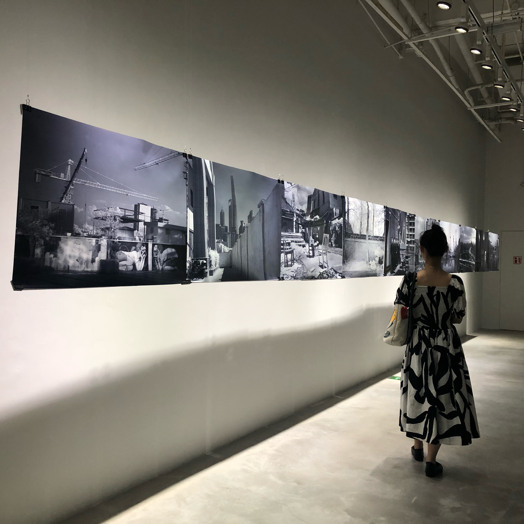 最新展油画及步骤指南简介