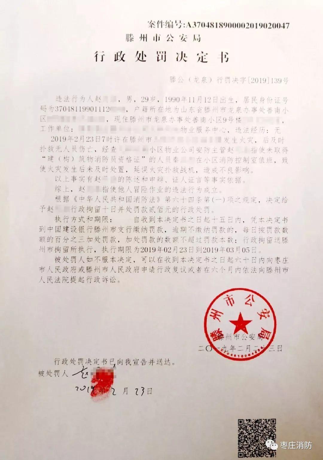 萌芽熊最新成长冒险之旅，一场温馨的冒险体验