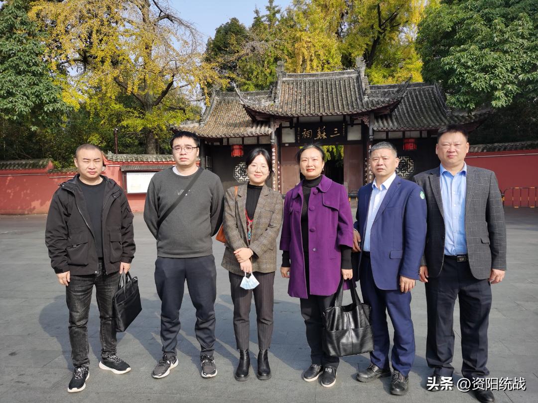 丹棱最新规划详解，步骤指南与未来发展展望