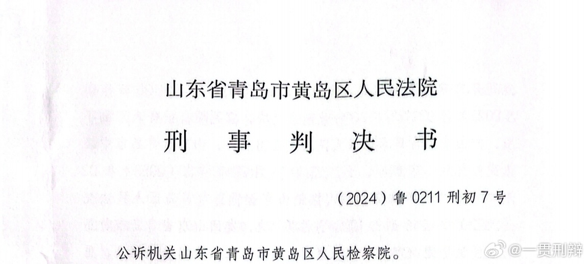 黄岛最新判决详解，如何获取与理解判决结果（从初学者到进阶用户的实用指南）