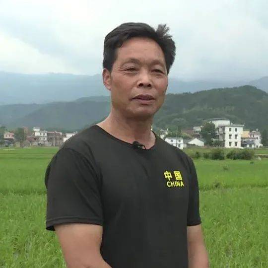 桂林最新疫情解读与应对策略，全面应对疫情挑战