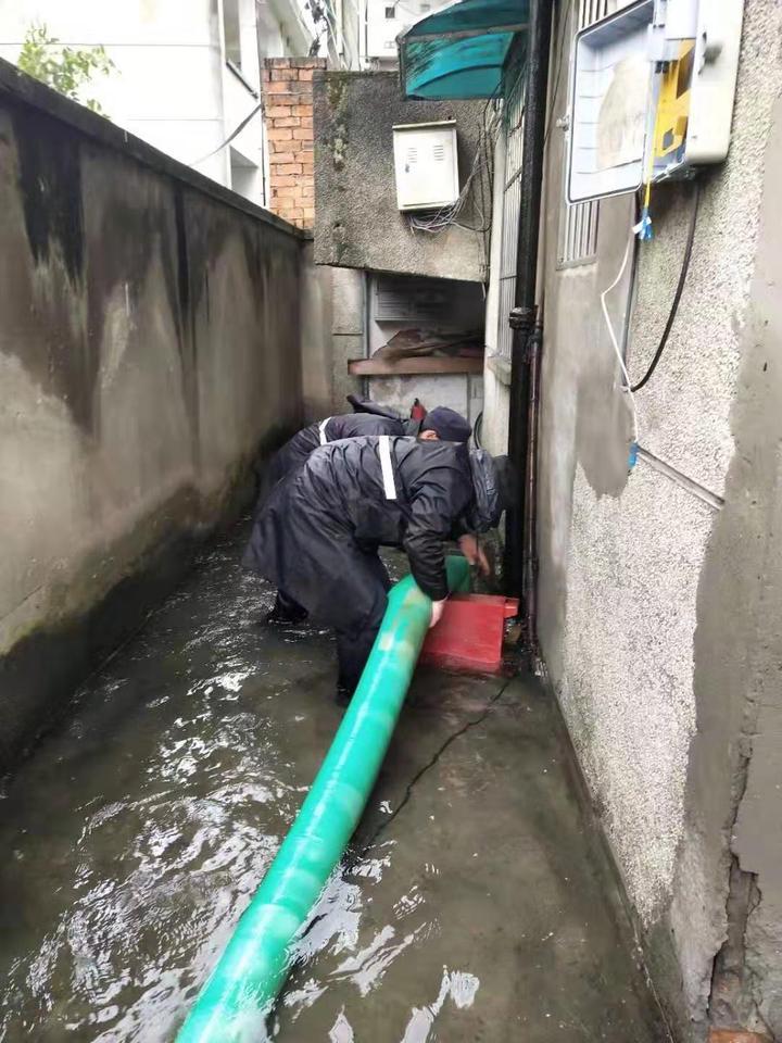 杭州防汛最新动态分析报道