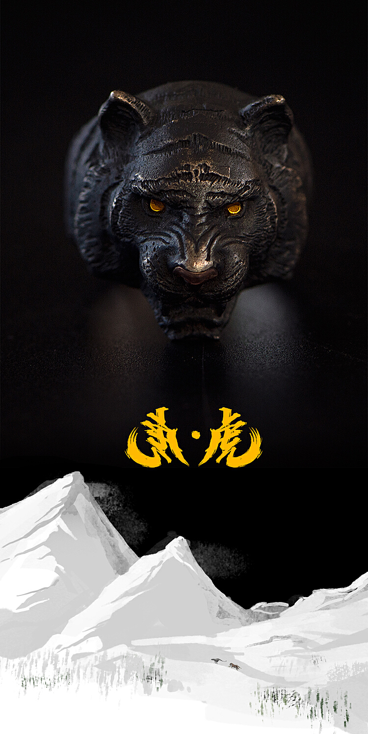 最新黑虎科技产品介绍，探索黑虎科技的新领域