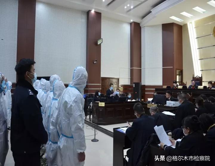 最新诈骗金额深度分析与观点阐述