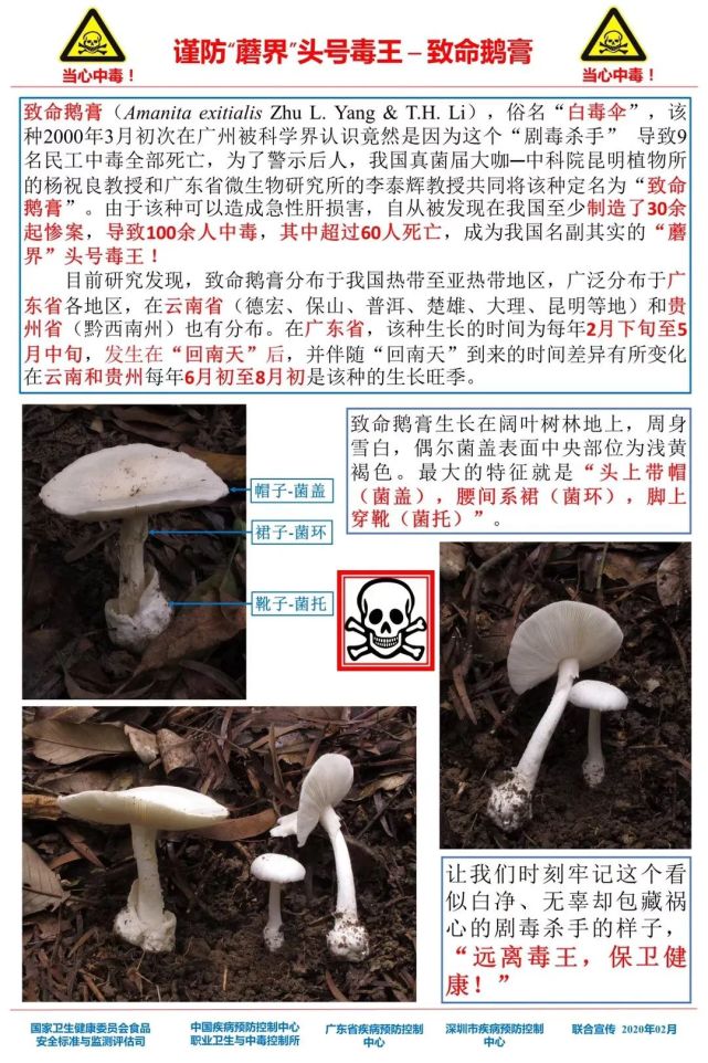 最新疾病报道深度解析与观点阐述