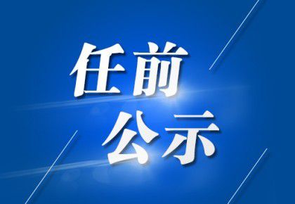 干部最新公示，小李的官途进展与友情观察