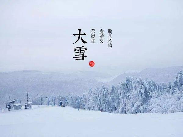沼泽最新小说，友情的暖阳